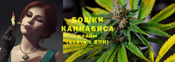 сатива Заволжск
